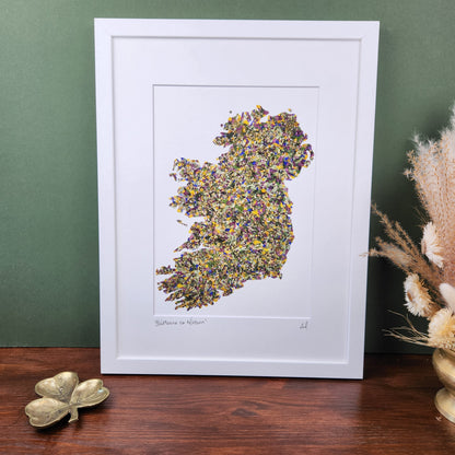 SIÓG Botanicals Product 12" x 16" Framed Print 'Bláthanna na hÉireann' Native Flowers of Ireland Art Print