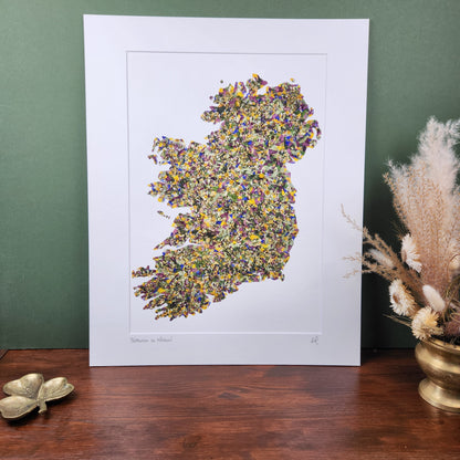 SIÓG Botanicals Product 16" x 20" Mounted Print 'Bláthanna na hÉireann' Native Flowers of Ireland Art Print