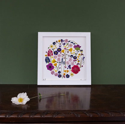 SIÓG Botanicals 20cm Square Framed 'EARRACH' Spring Flower Art Print