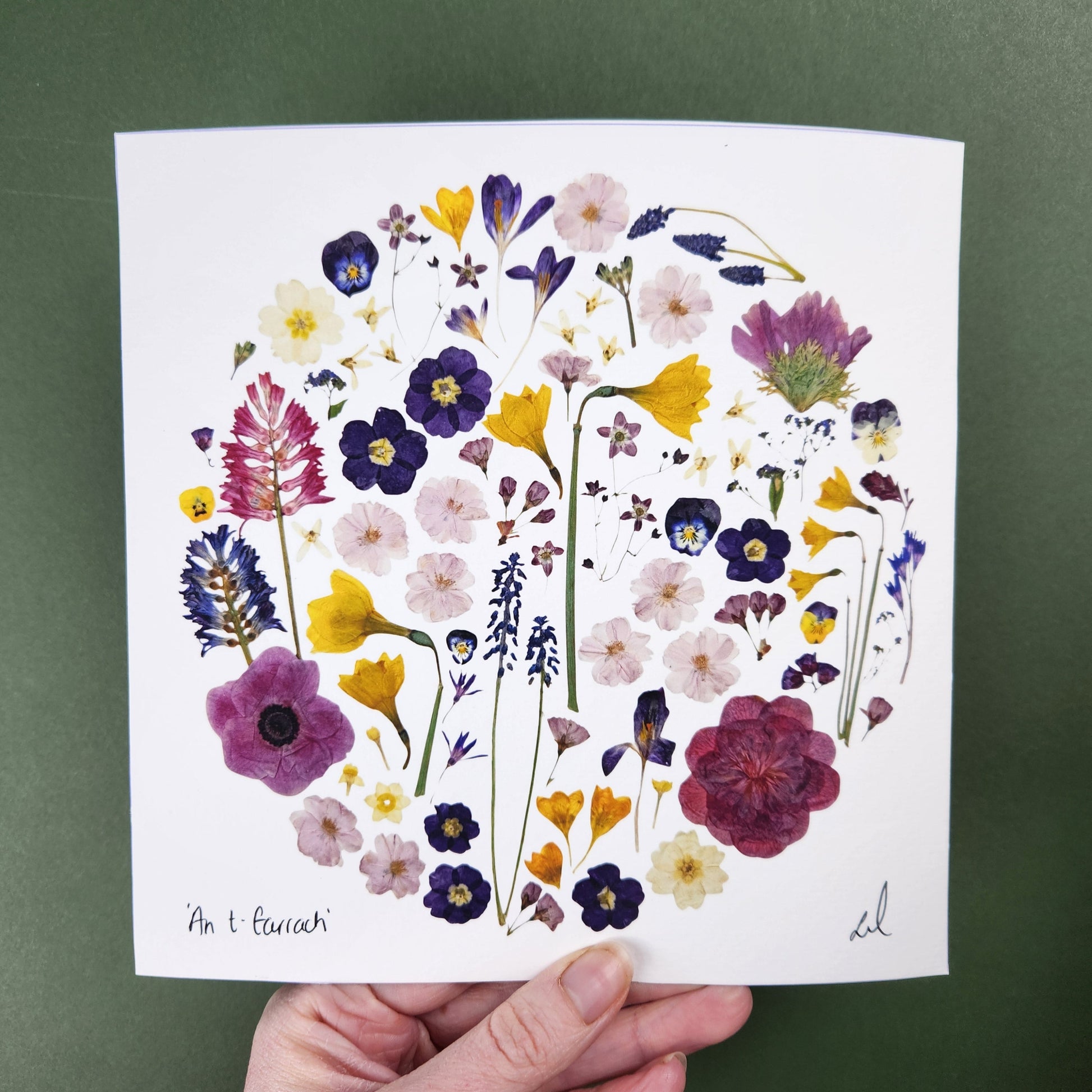 SIÓG Botanicals 8" Square Print 'An tEarrach' Spring Flower Art Print