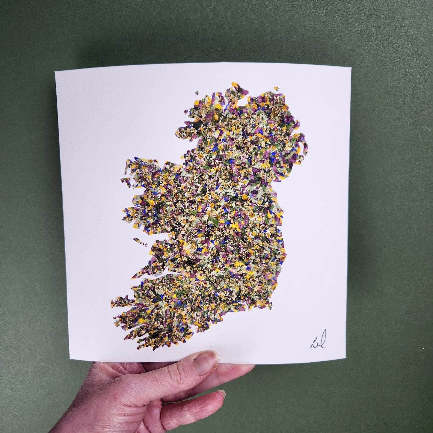 SIÓG Botanicals Product 8" x 8" Print Only 'Bláthanna na hÉireann' Native Flowers of Ireland Art Print