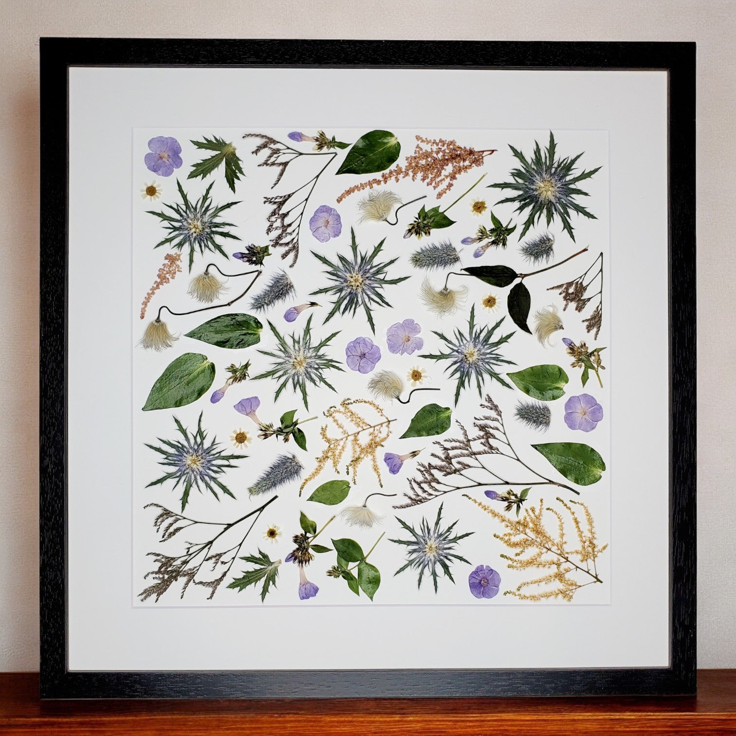 SIÓG Botanicals Black / Contemporary Square  (spacing between) Pressed Flower Artwork on Canvas: 50cm x 50cm