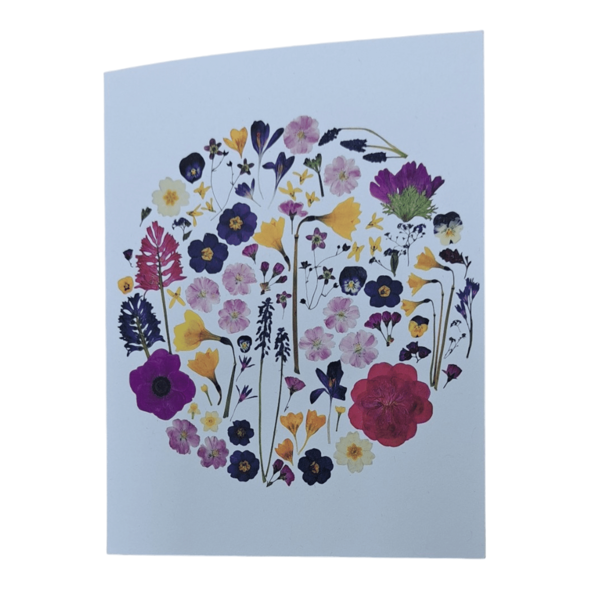 SIÓG Botanicals 'Earrach' Greeting Card