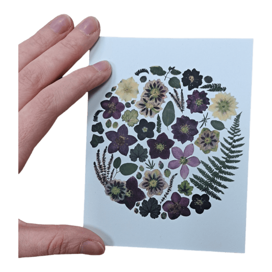 SIÓG Botanicals 'Geimhreadh' Greeting Card