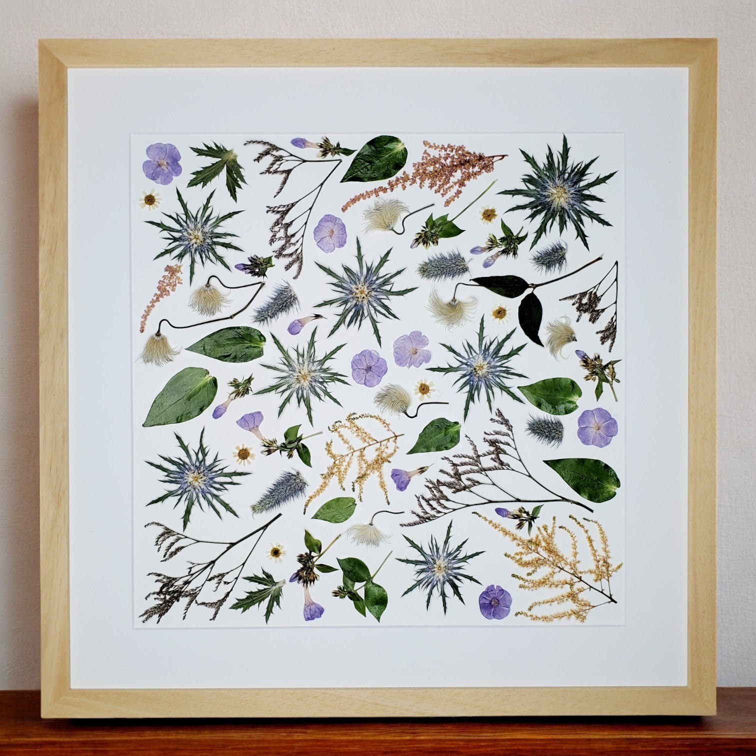 SIÓG Botanicals Natural / Contemporary Square  (spacing between) Pressed Flower Artwork on Canvas: 50cm x 50cm