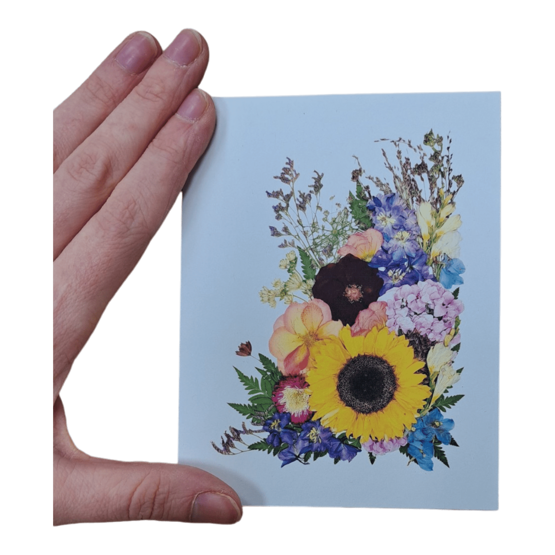 SIÓG Botanicals 'Siúloid eile' Greeting Card