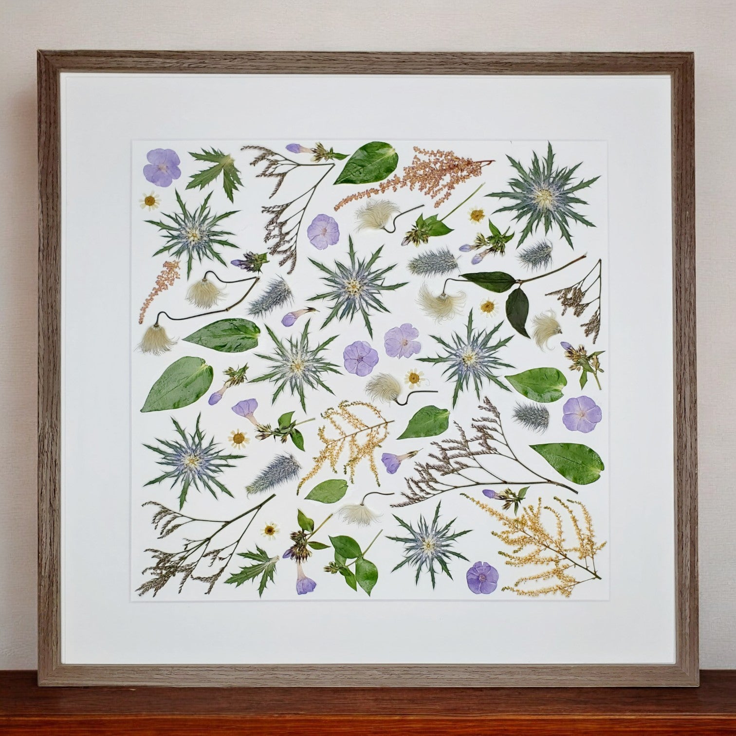 SIÓG Botanicals Walnut / Contemporary Square  (spacing between) Pressed Flower Artwork on Canvas: 50cm x 50cm