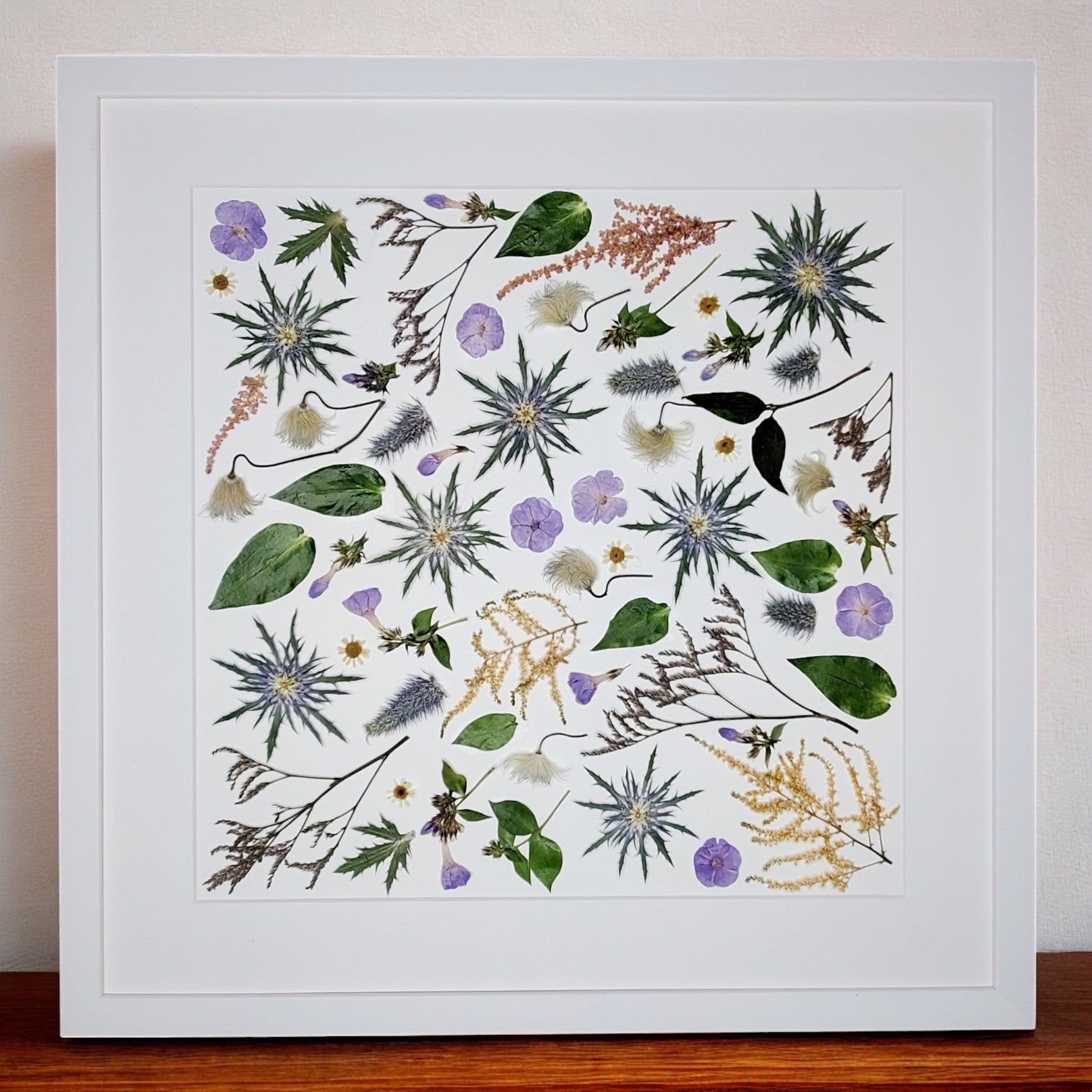 SIÓG Botanicals White / Contemporary Square  (spacing between) Pressed Flower Artwork on Canvas: 50cm x 50cm